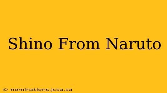 Shino From Naruto