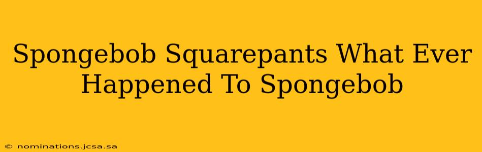 Spongebob Squarepants What Ever Happened To Spongebob