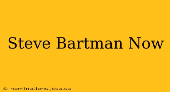 Steve Bartman Now
