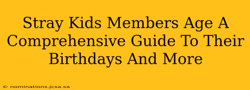 Stray Kids Members Age A Comprehensive Guide To Their Birthdays And More