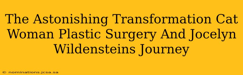 The Astonishing Transformation Cat Woman Plastic Surgery And Jocelyn Wildensteins Journey
