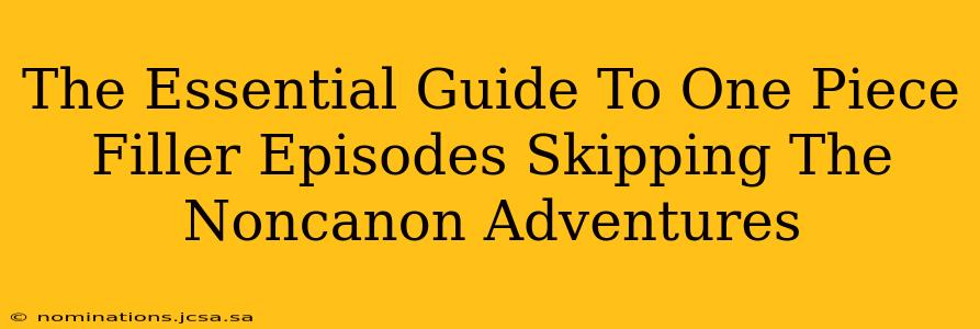 The Essential Guide To One Piece Filler Episodes Skipping The Noncanon Adventures