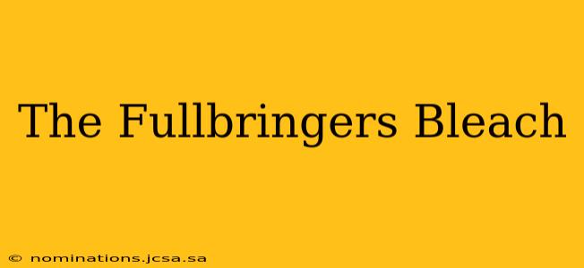 The Fullbringers Bleach