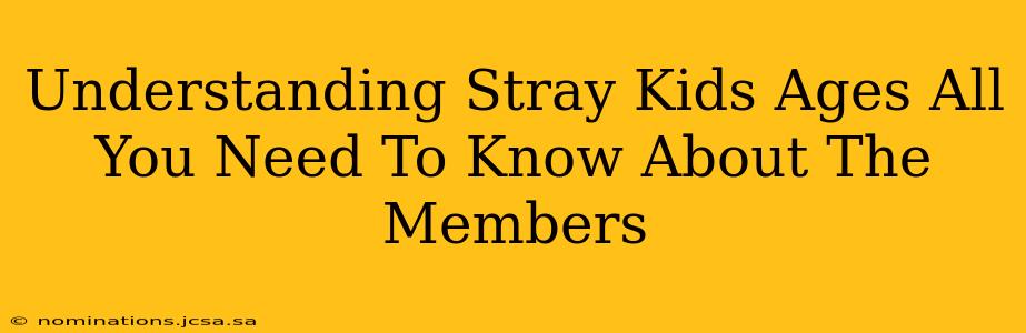 Understanding Stray Kids Ages All You Need To Know About The Members