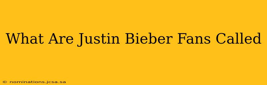 What Are Justin Bieber Fans Called