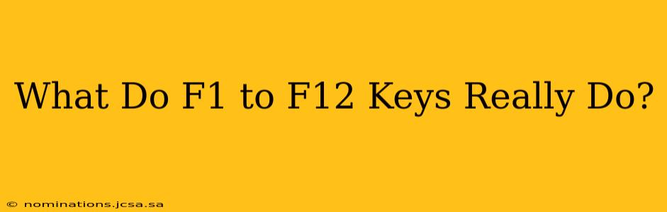 What Do F1 to F12 Keys Really Do?