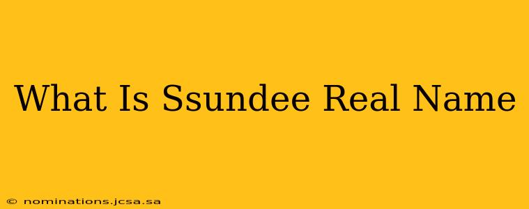What Is Ssundee Real Name