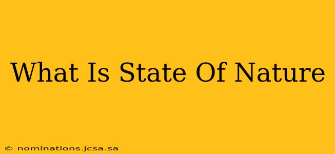 What Is State Of Nature