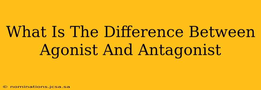 What Is The Difference Between Agonist And Antagonist