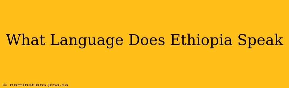 What Language Does Ethiopia Speak