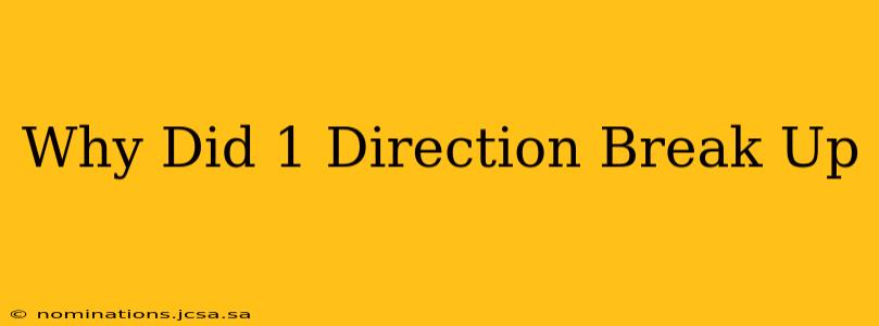 Why Did 1 Direction Break Up