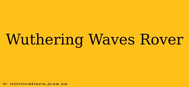 Wuthering Waves Rover